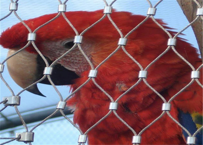 รั้วตาข่ายลวดสลิงสแตนเลส / นกตาข่ายลวดกรงนกขนาดใหญ่สำหรับการป้องกัน