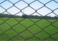 2x30m 3.5mm Farm Field Diamond Pvc Coated chain link Fencing