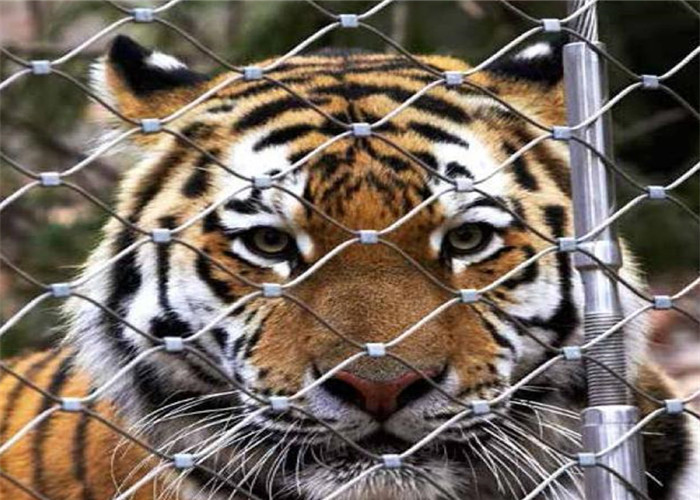 ตาข่ายเชือก Ss ขนาด 7x19 1.5 มม. 20 ปีเสือและนกแก้วใช้สวนสัตว์